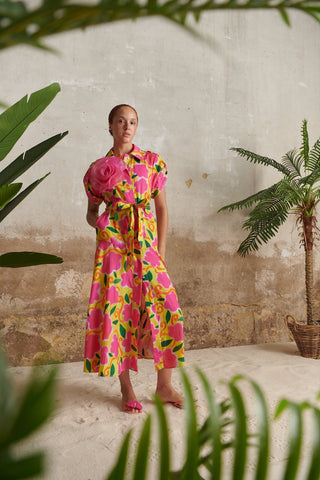 Chandi Dress print - CELIA B