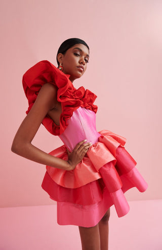 Baltic Dress Pink - CELIA B